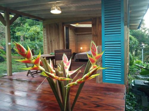 "Pollux" La chambre aux étoiles ciel ouvert atypique