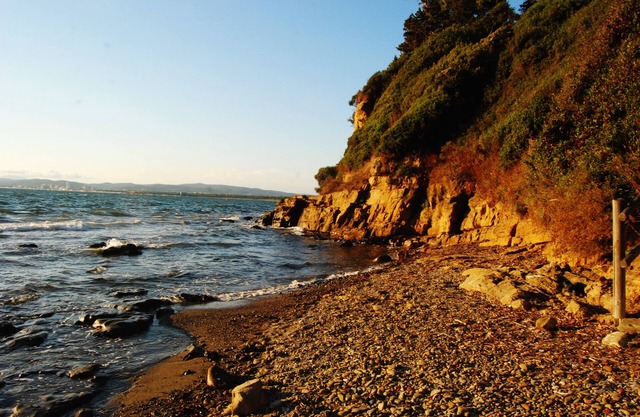 Portiglioni: Apartment/flat - Portiglioni