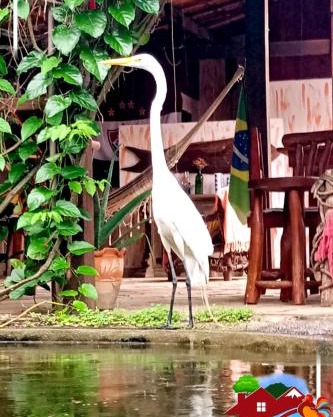 Pousada Chalé na Roça Penedo
