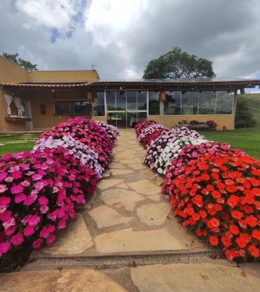 Pousada Mirante dos Ipês - Capitólio - MG