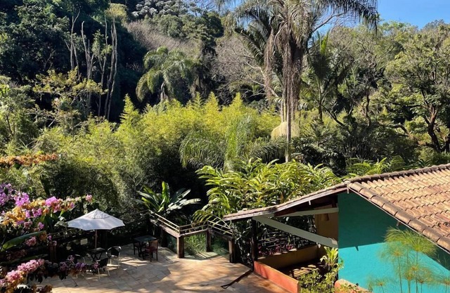 Pousada Rota dos Macacos - 02 - Macacos