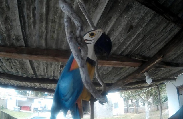 Pouso e Camping do Miguel