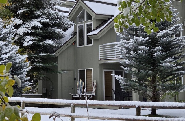 Pristine Powder Pad, Get your Vitamin Ski