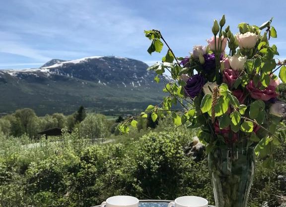 Private apartments!Oppdal Alpintun, Skisenter-Stølen