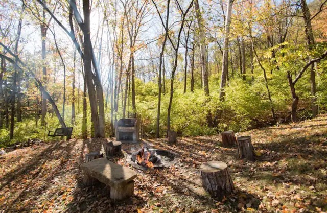 Private bungalow set in the forest