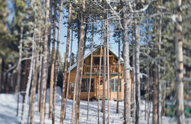 Private cabin in a super location above the base of Peak 8