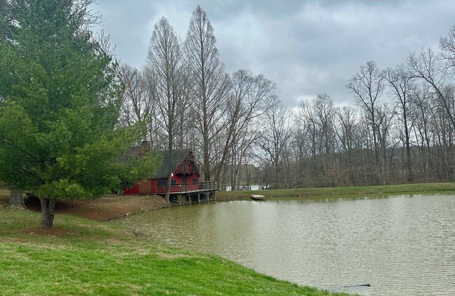 Private, cozy cabin on 13 acres with two ponds