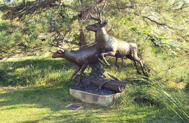 Private, Family-Friendly Suite next to Benson Sculpture Gardens