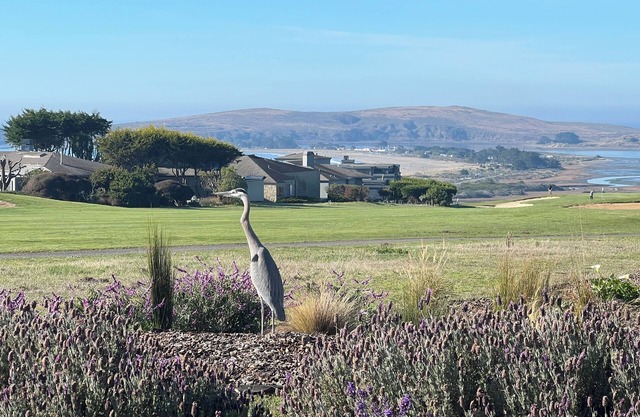 Private-Full Views-14th Fairway-4.5Bedrooms-3 Baths-2900 sqft-Pool Table-Hot Tub