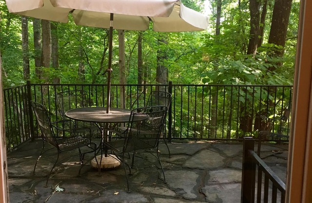 Private Hillside Terrace Apartment with Stone Patio Overlooking Woods