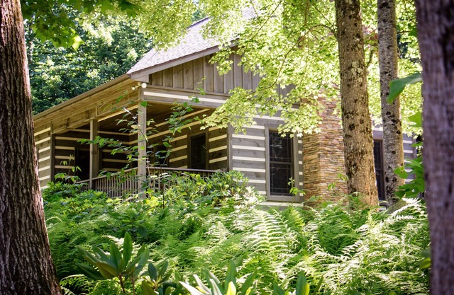 Private, On 53 Acres, Blue Ridge Parkway Access