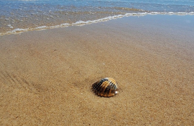 Privileged setting near the beaches of the Algarve.