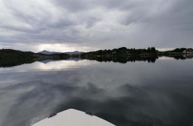 Pro Fish camping and boat rent