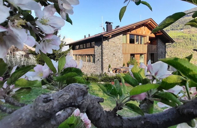 Pröfinghof - Vacation on the organic farm