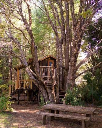 Pucón Volcano Forest SPA