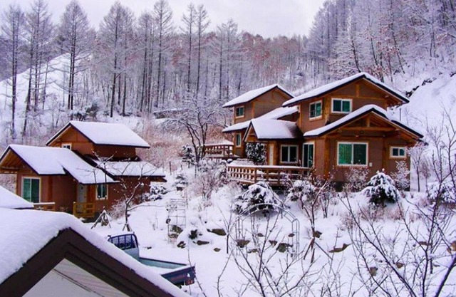 Pyeongchang Eomeonipumsok Maeul Pension