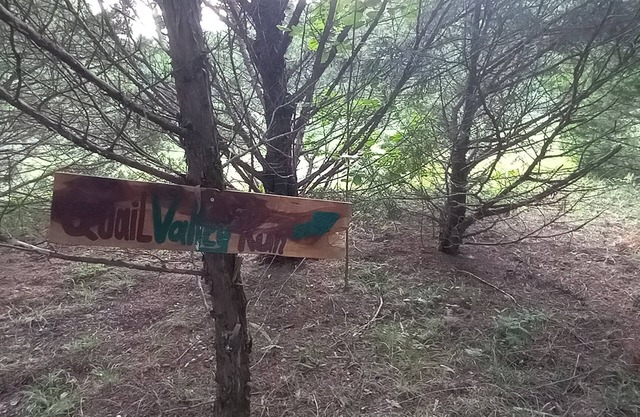 Quail Valley Run @ B Berry Farms