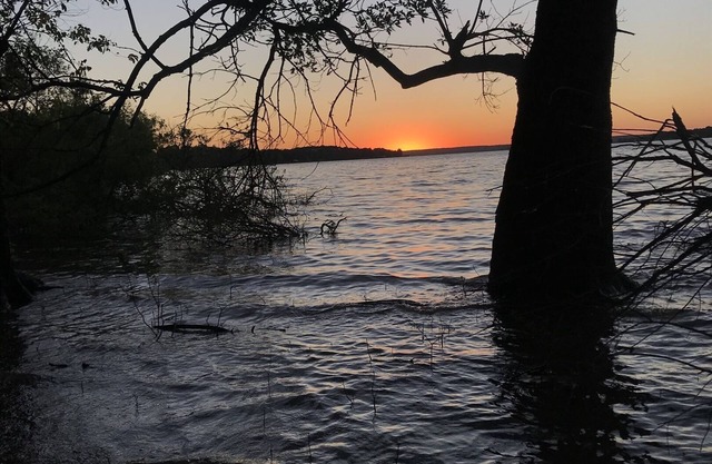 Quaint Clean Cottage with Lake Access and King Bed