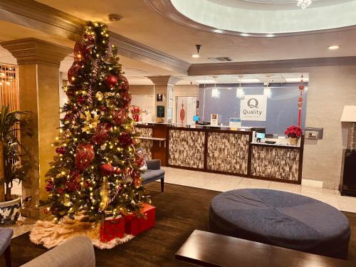 Quality Inn & Suites Montebello - Los Angeles