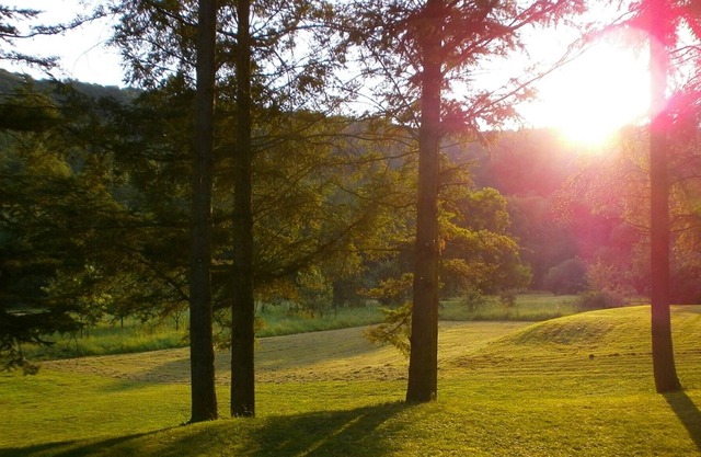 quiet and idyllic located apartment for your well-being holidays in the Eifel