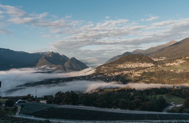 Quiet apartment surrounded by greenery, with views of the valley and sunset
