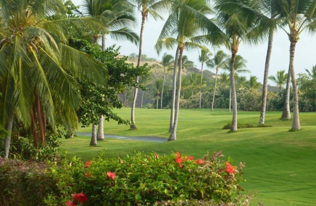 Quiet Condo on the Kona Country Club Golf Course