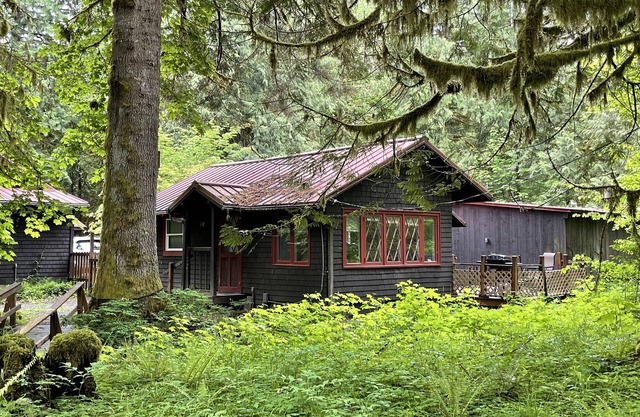 Quiet, Cozy Cottage in the Woods with Large Outdoor Area