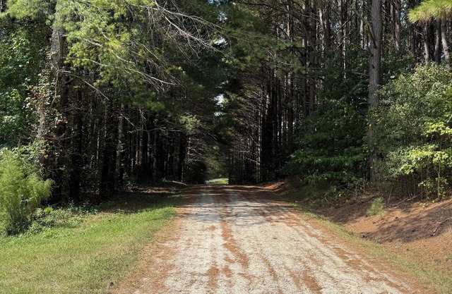 Quiet farmhouse with pasture in Vale