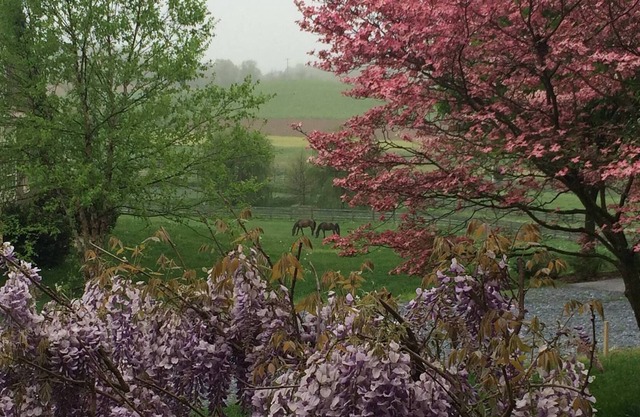 Quiet Getaway or Romantic Retreat