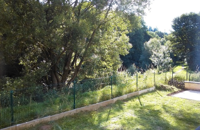 Quiet house for small groups close to cycling and hiking trails in the Volcanic Eifel