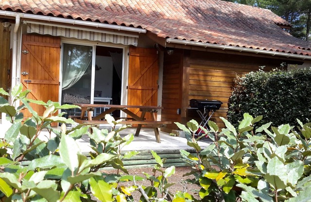 quiet house in the heart of the pine forest in pedestrian area. Near beaches