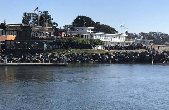 Quiet Neighborhood Townhouse, 4 Blocks To Seabright Beach, Santa Cruz Boardwalk