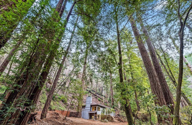 Quiet Retreat in the Redwoods