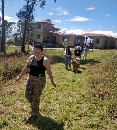 Quinta las Marias, Ecolodge, camping y Tiny wood house