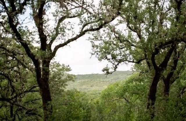 Quirky, Tiny Lodge and San Antonio Hill Country