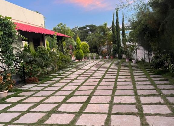 Rènao farms