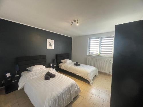 Résidence iguanodon Maria