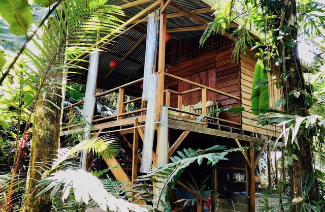 R2 Tranquila Cabin Tropical Garden