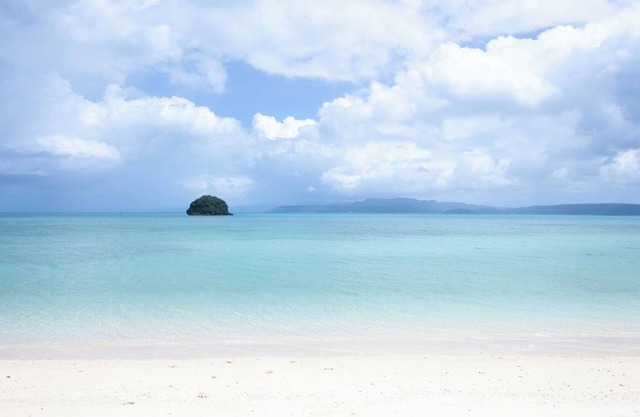 R637F1C House B /Nago Okinawa