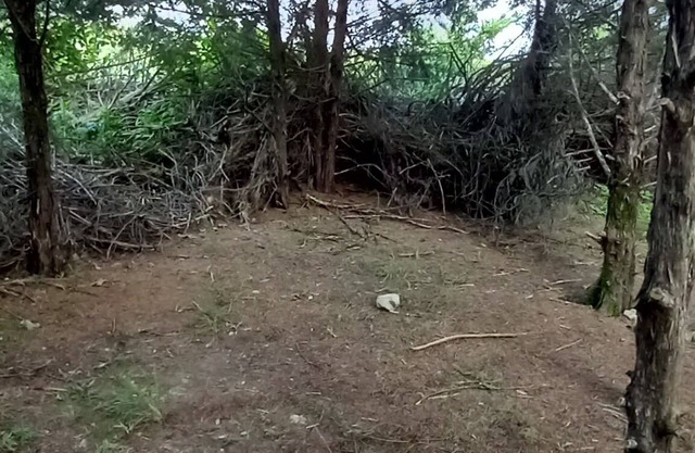 Rabbit's Den @B Berry Farms