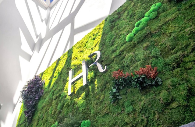 Real Maqueda - Málaga