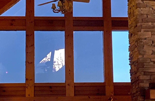 Recline in the room in front of the fireplace with your PET