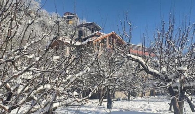 RedHomeX Hilly PARADISE Villa