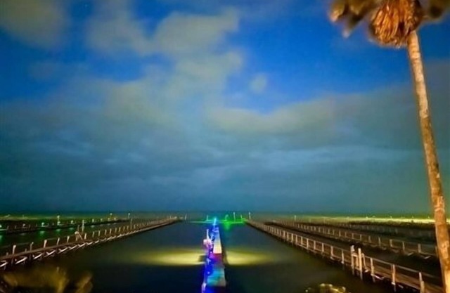 REEL Paradise. Great Place to Stay! New Private Pier. 4 Bedroom, 4.5 Bath.