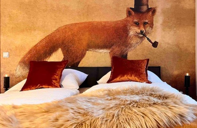 Reet am Rhein - Eröffnungsangebot