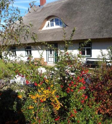 Reetdachhaus am Haff