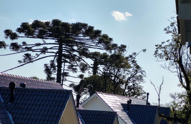 Refúgio Gramado with air conditioning, fireplace and wi-fi