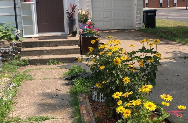 Renovated 1888 Gem in Original Little Falls - Clean, Comfy, Pet Friendly, WiFi