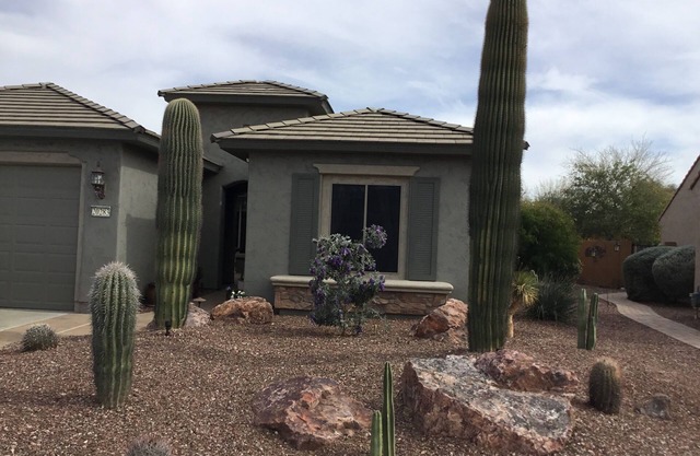 Rental in the best part of Sun City Festival - Pet Friendly