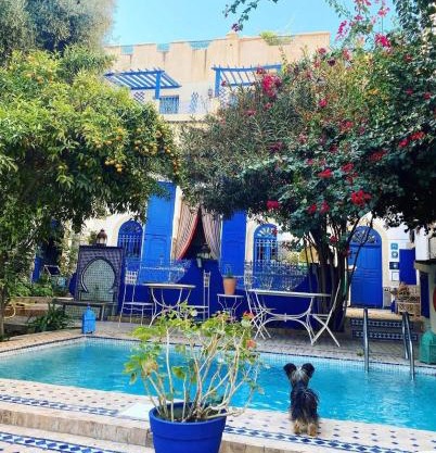 Riad Jean Claude